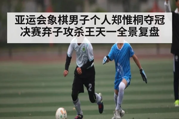 亚运会象棋男子个人郑惟桐夺冠决赛弃子攻杀王天一全景复盘