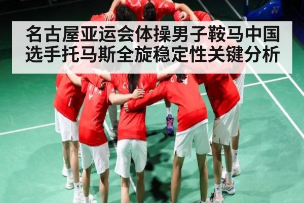 名古屋亚运会体操男子鞍马中国选手托马斯全旋稳定性关键分析 - kaiyunsports